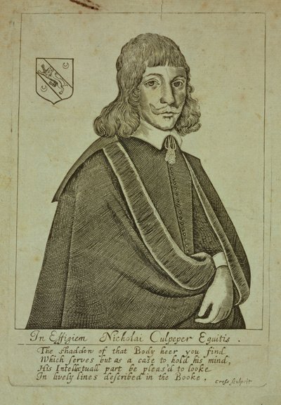 Portrait of Nicholas Culpeper from A Physical Directory, or a Translation of the London Dispensatory, engraved by Thomas Cross by English School